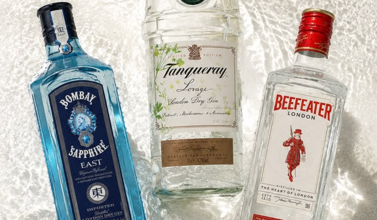 10 Best Gins For Making Your Next Gin And Tonic