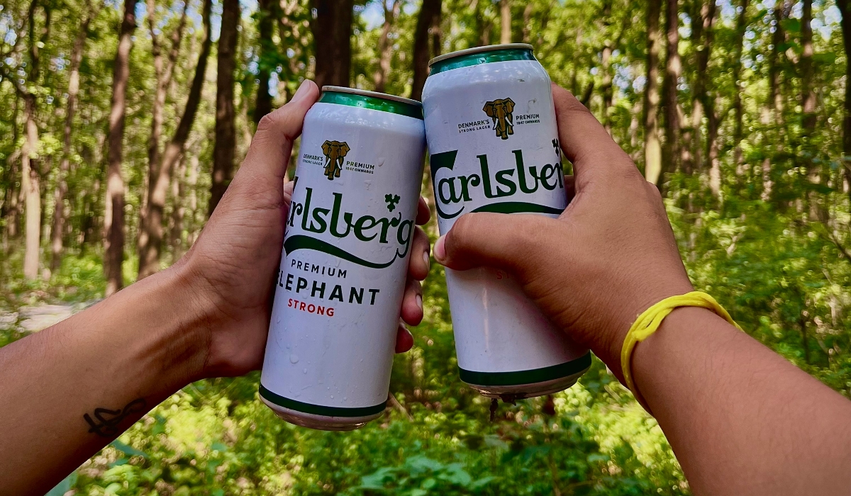 Carlsberg Reports Rising Sales In The First Quarter