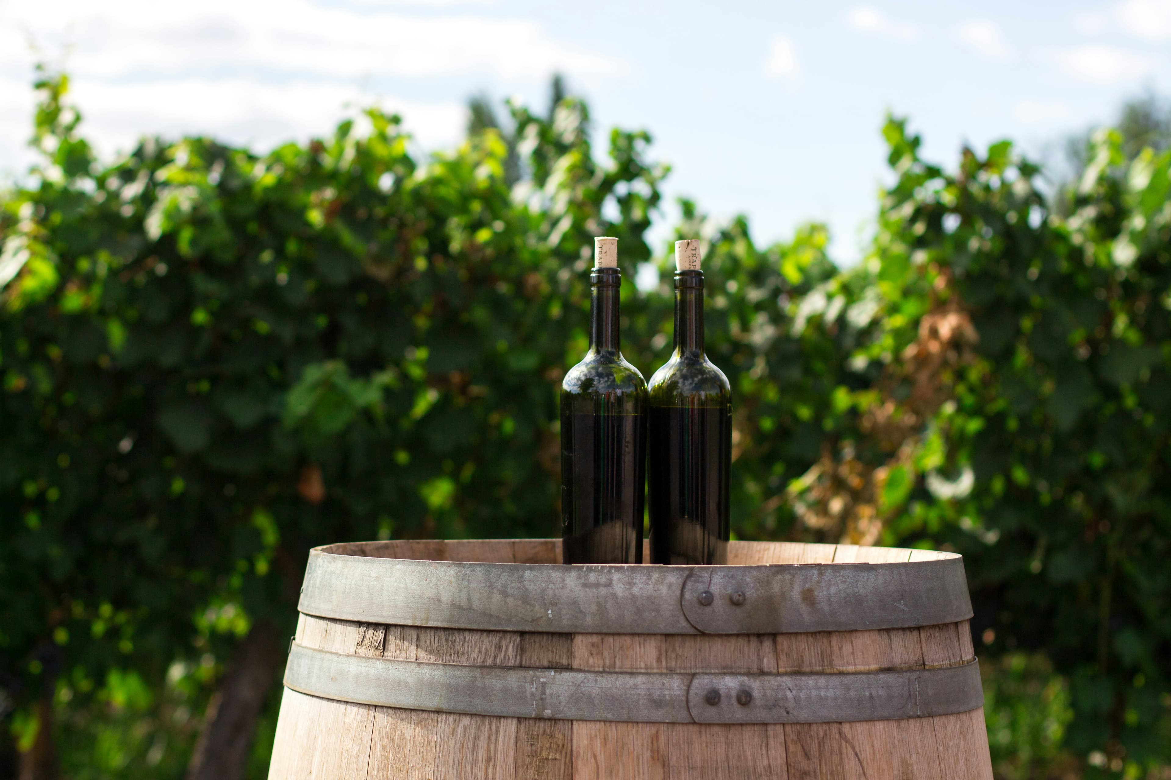 India’s Wine Industry Set for Robust Growth: Poised to Double by 2028