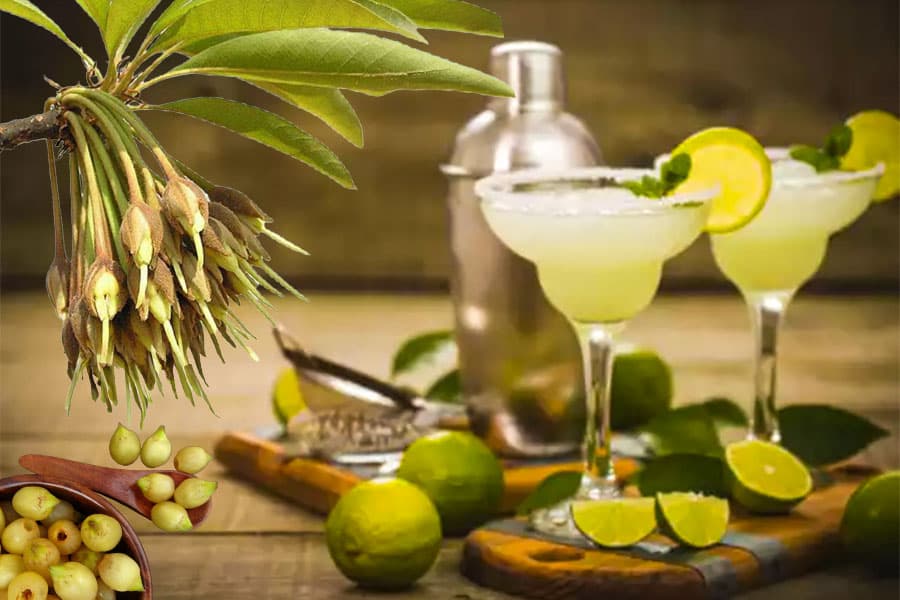 The Fall And Rise Of Mahua Liquor