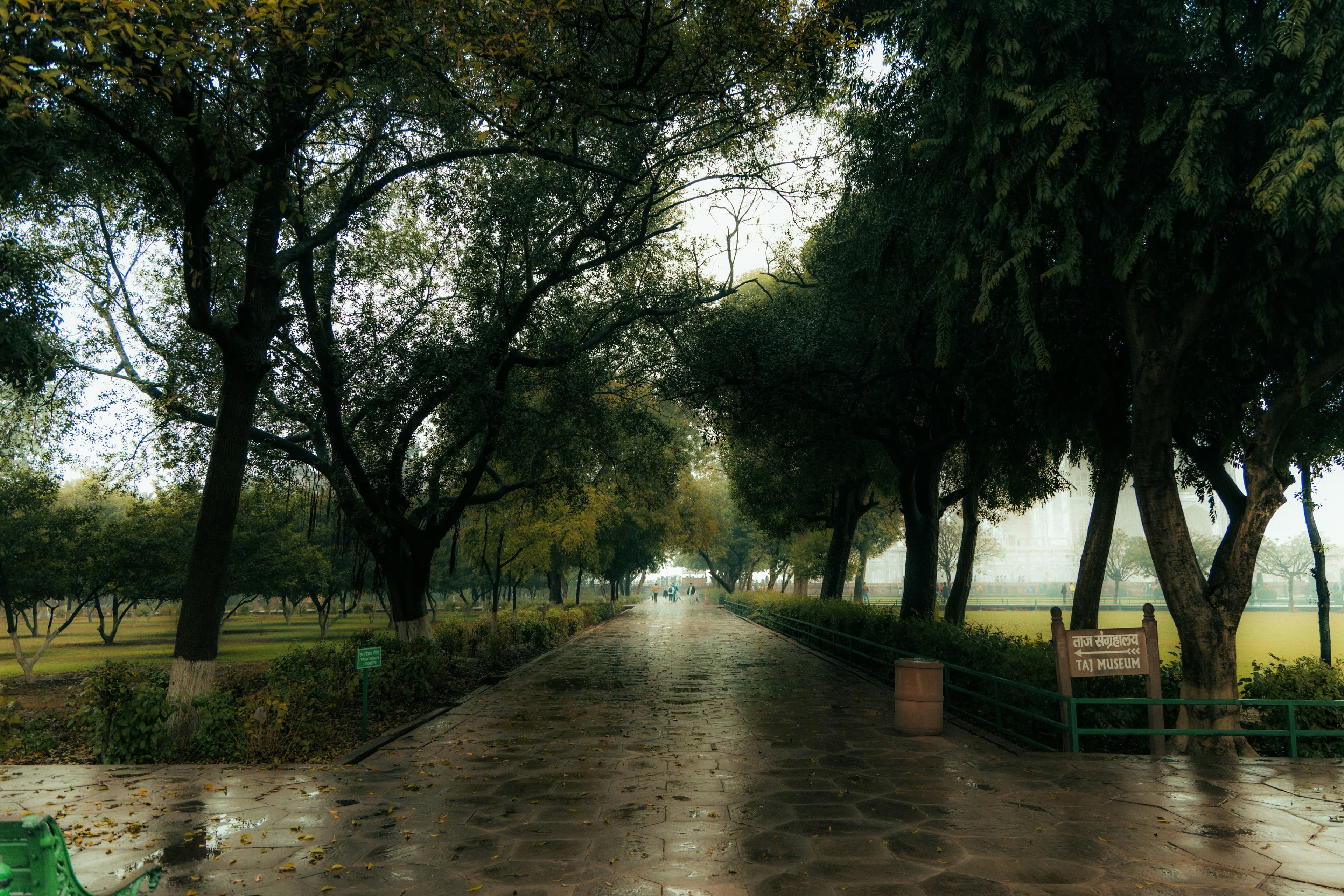 What to Drink in India When It’s Pouring Outside: A Regional Booze Guide