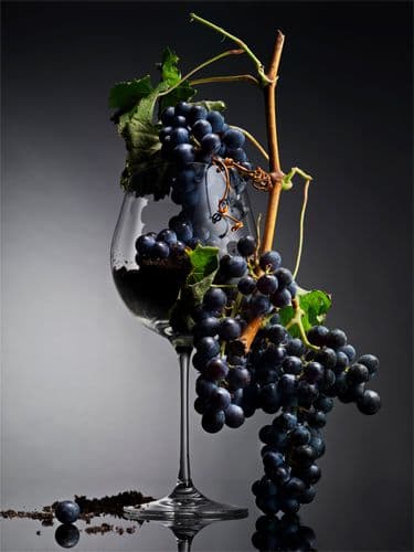 A Beginner’s Guide to 8 Popular Wine Grapes