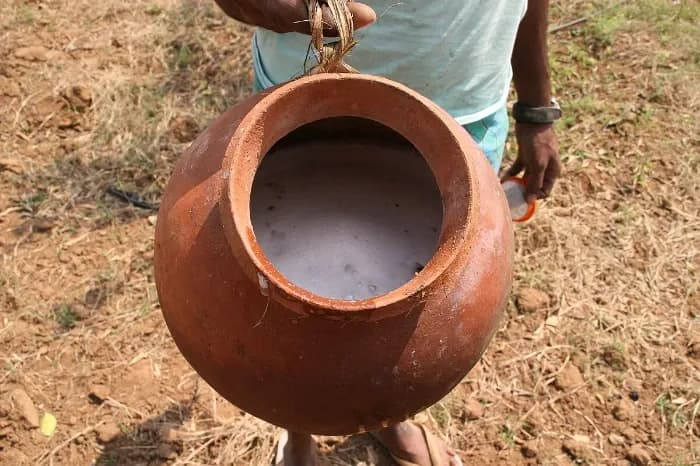 Kerala Increases Legal Alcohol Limit in Toddy 
