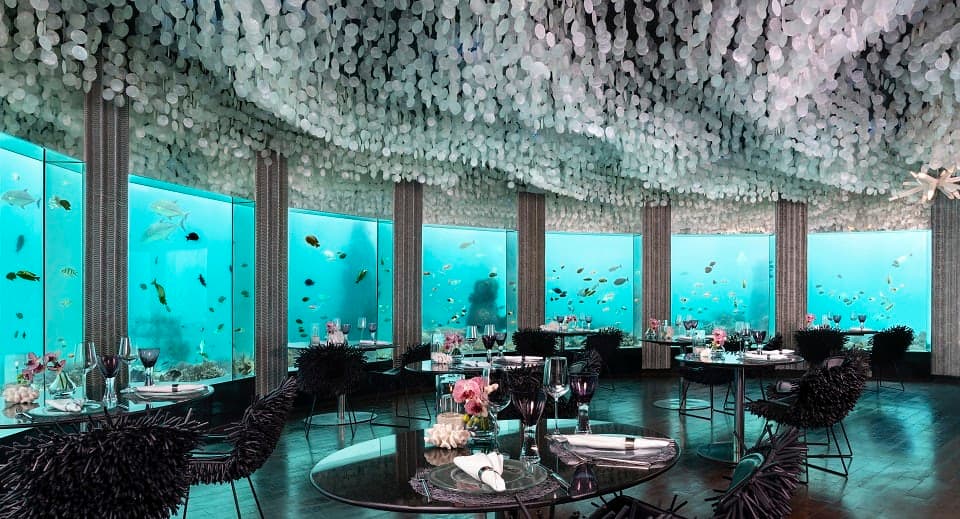 Deep Beats &amp; Deeper Bites: Inside Subsix, the World’s First Underwater Nightclub-Turned-Nikkei Paradise