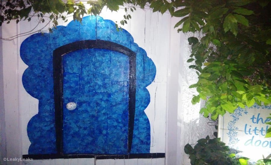 The Little Door