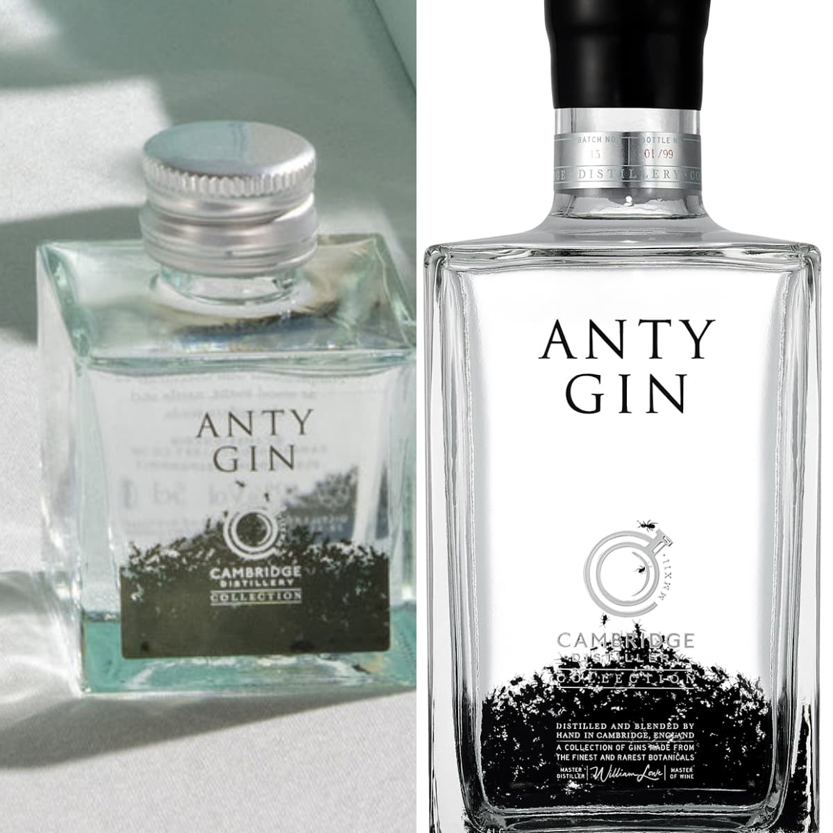 Anty Gin: The World's First Insect-Based Gin Redefining the Spirit