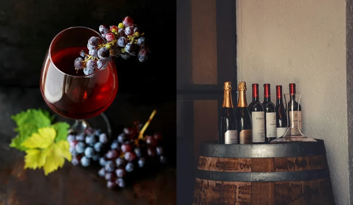 International Cabernet Sauvignon Day 2025: Date & Wines 