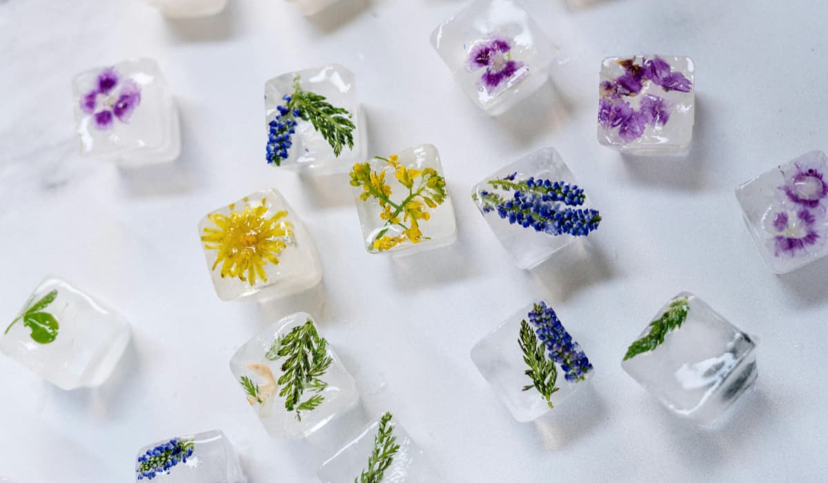 Types of Ice and Their Perfect Use in Cocktails