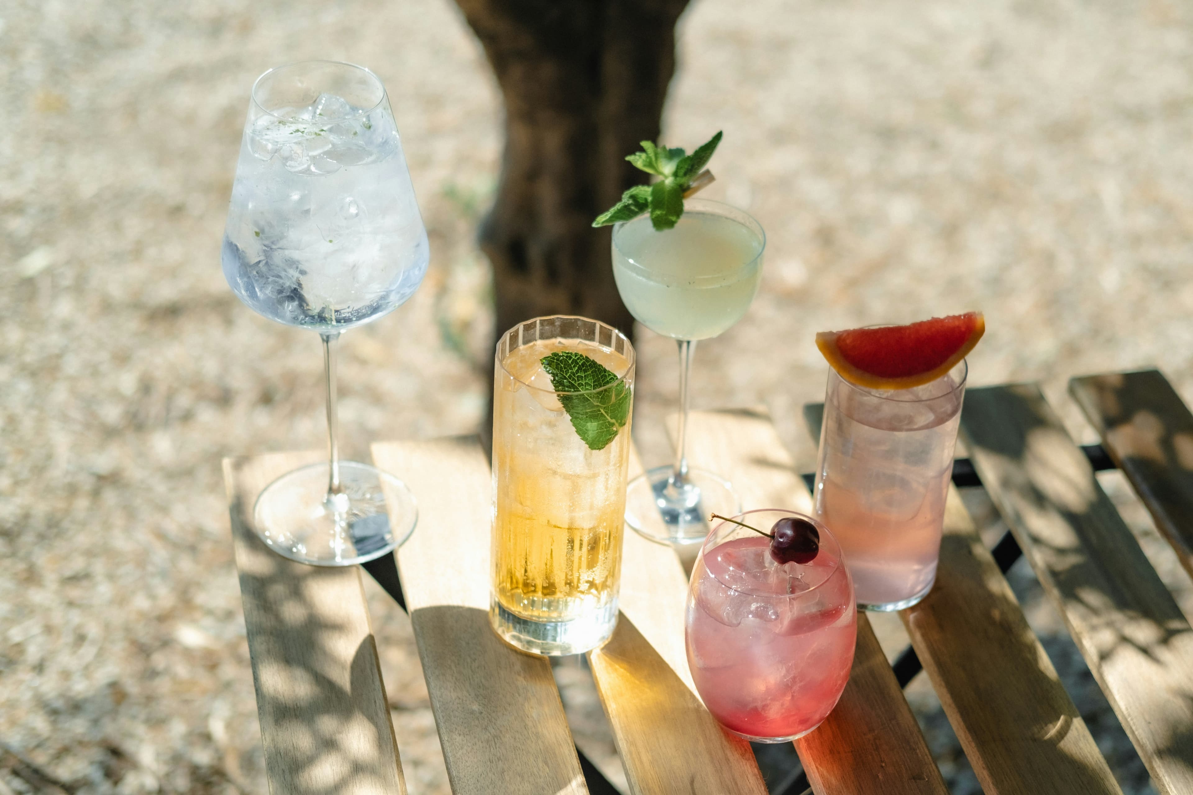 From Mojitos to Rosé: Top Alcohol Picks for Warm Weather Days