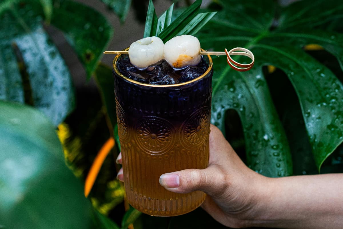 Best Lychee Cocktails That You Need To Try