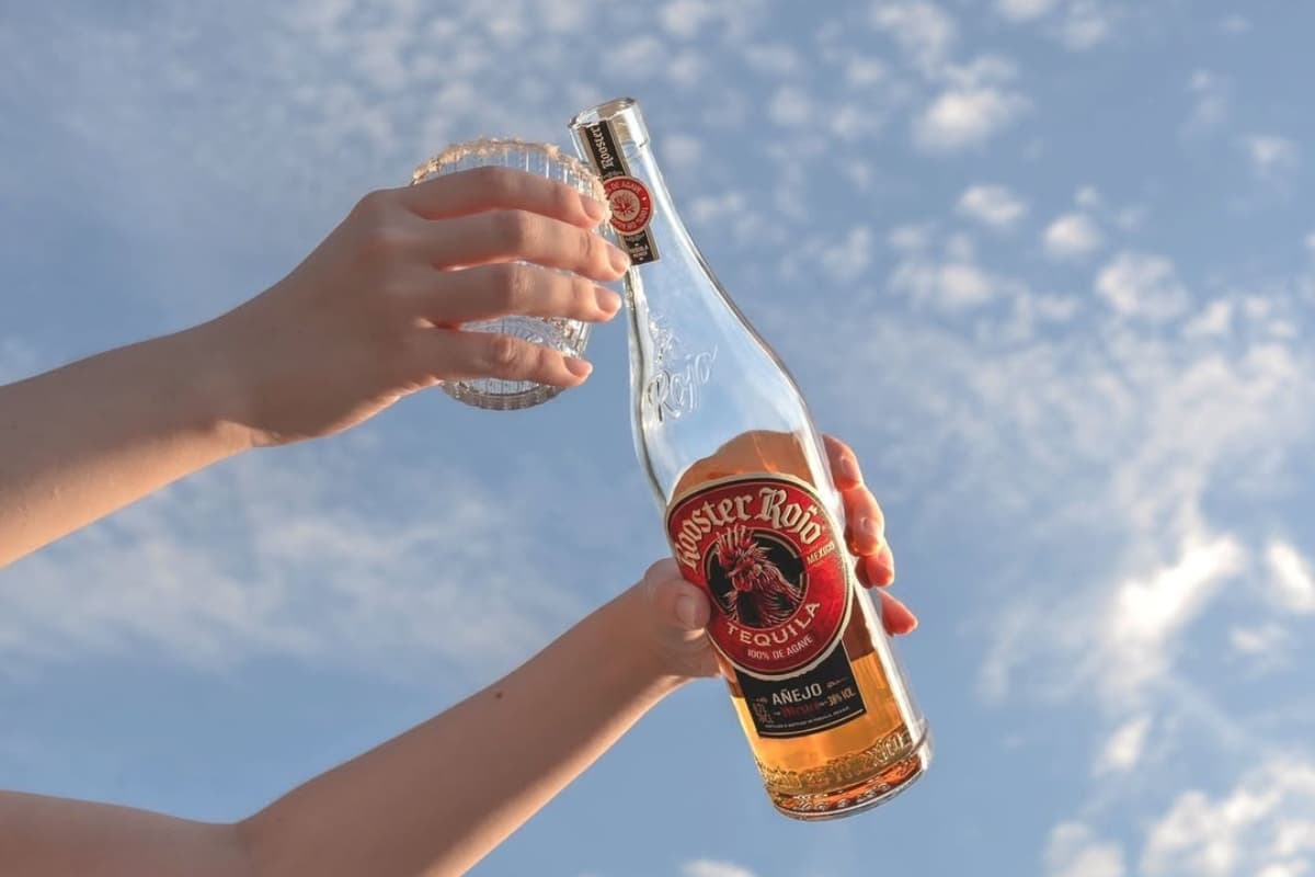 All You Need To Know About Rooster Rojo Made At The Foot Of A Volcano!