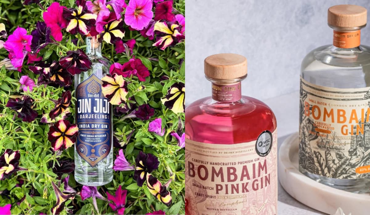 Unsobered’s 2024 Wrap Up: Gin Edition