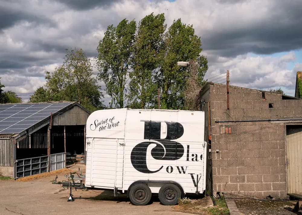 Udderly Unique: Black Cow Vodka's Creamy Revolution