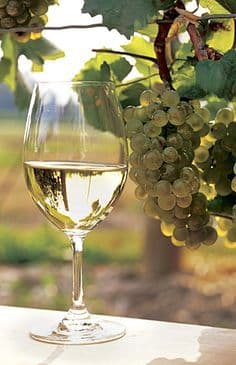 7 White Wines In India To Try Right Now
