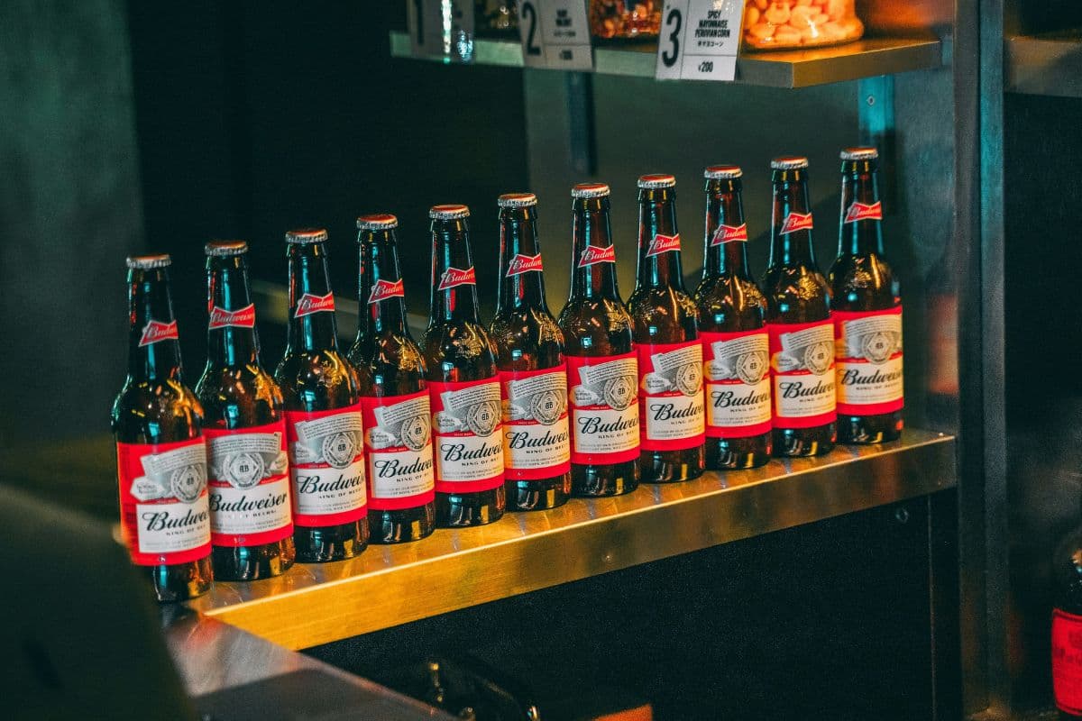 Budweiser India – Your Guide To Price, Variants, And History