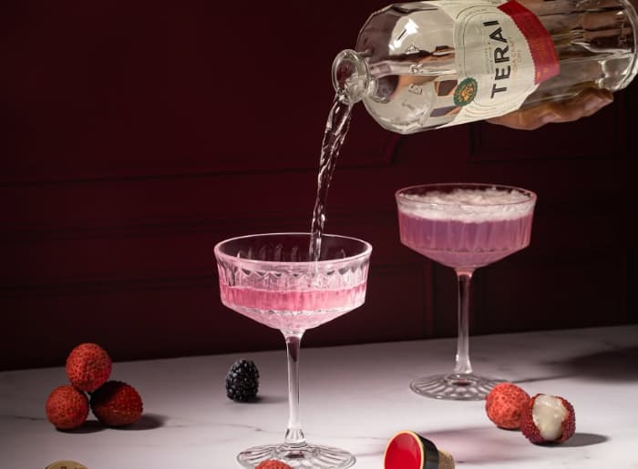 Best Gin For Beginners In India 