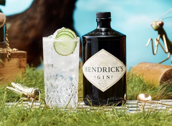 best gin for gin and tonic