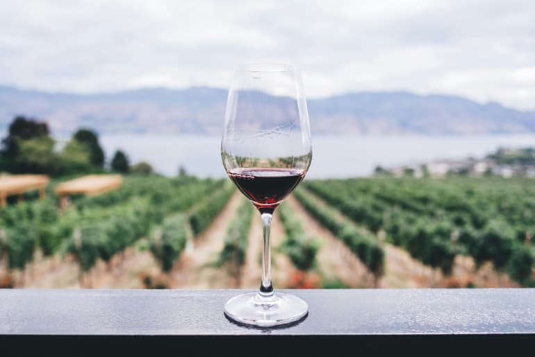 Best Red Wines Under INR 1000