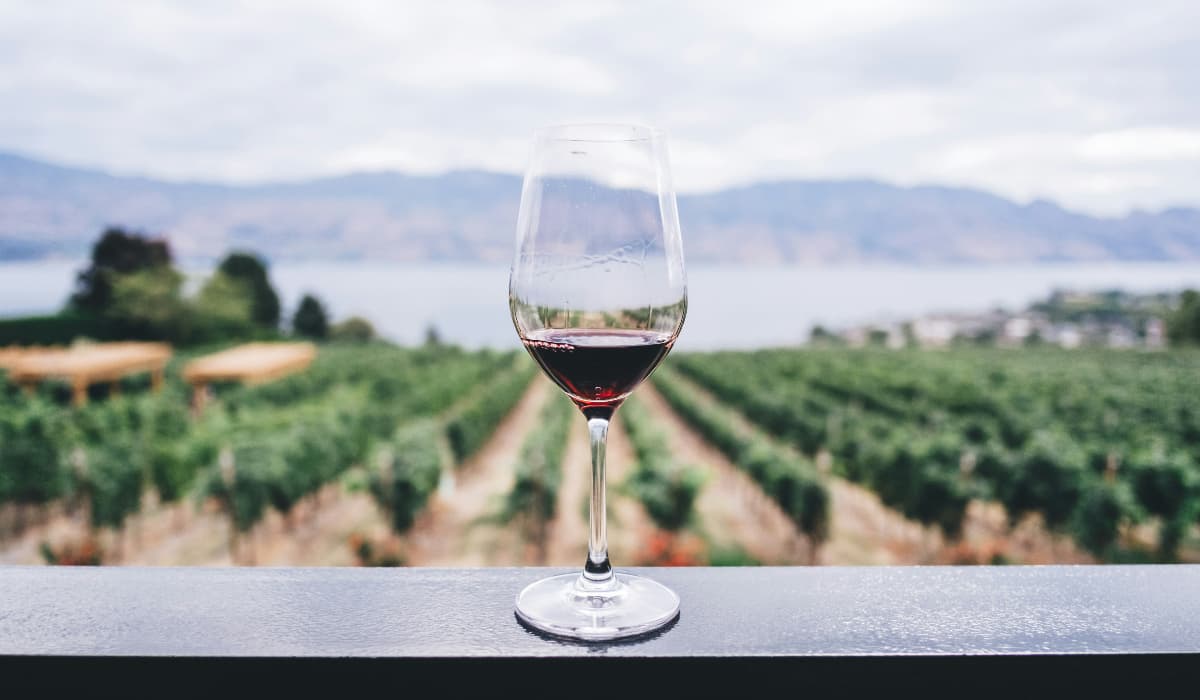 Top 10 Best Wine Brands In India You Must Try