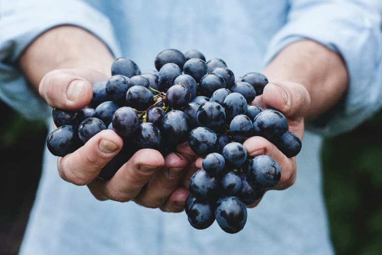 Best Wine Brands In India