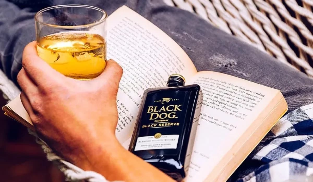 Black Dog Price In Bangalore: 180ml, 375ml, 750ml & 1L Rates