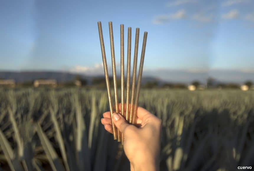 Agave Straws - A Step Towards Sustainability