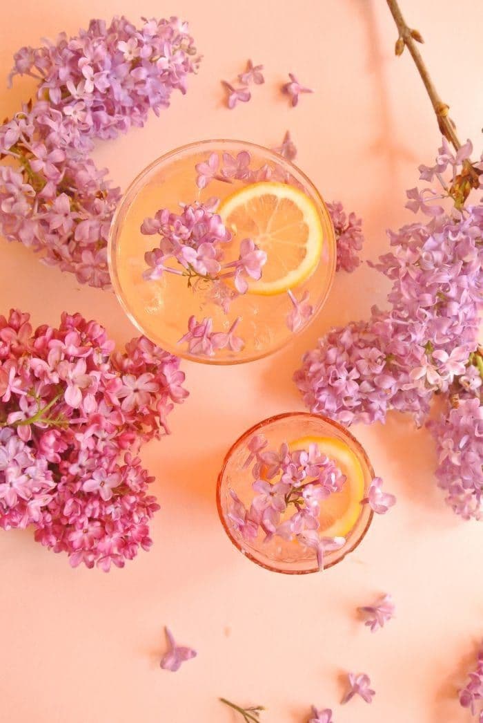 8 Edible Flowers For Cocktails