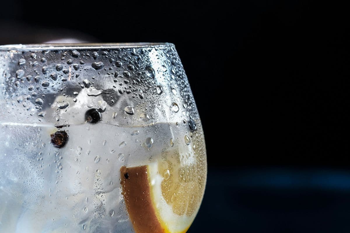 A Beginner’s Guide To Gin: Styles, Flavors & How To Choose The Right One