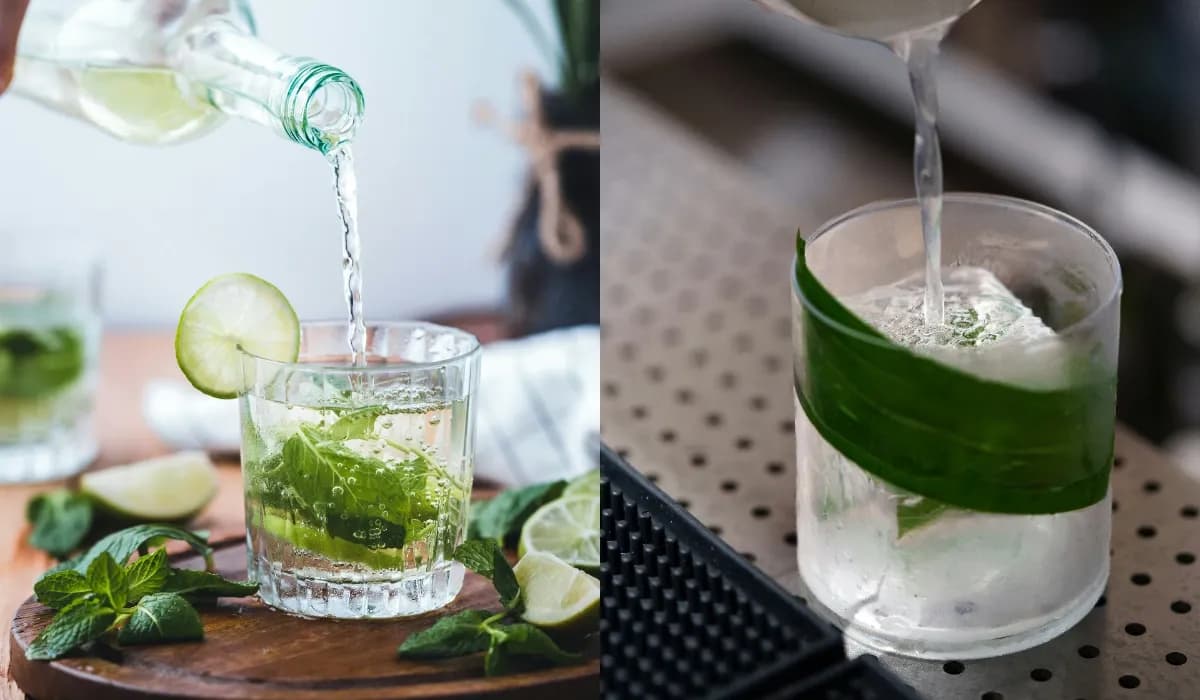 Gin or Vodka? Breaking Down Taste, Versatility, and Pairings