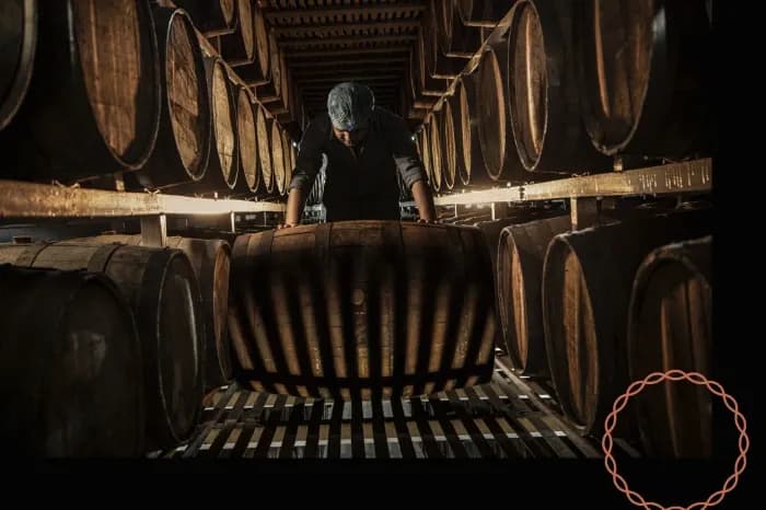 International Whisky of the Year 2025