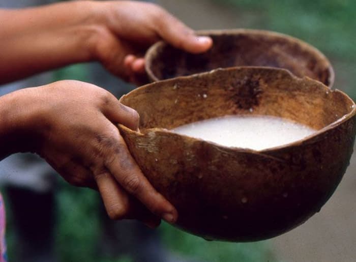 Meghalaya’s Traditional Rice Beer