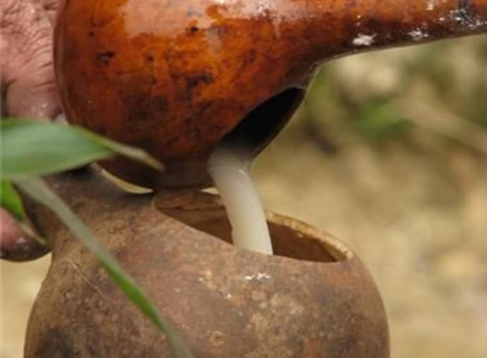 Meghalaya’s Traditional Rice Beer