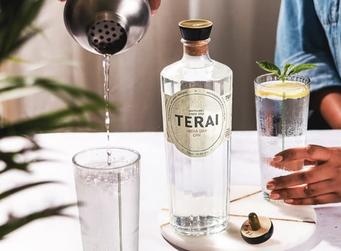 Must-Have Gin Brands Under INR 2000