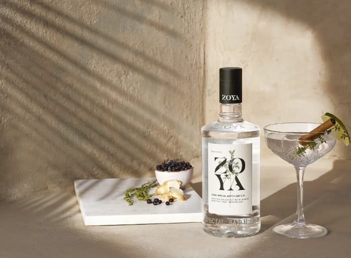 Must-Have Gin Brands Under INR 2000