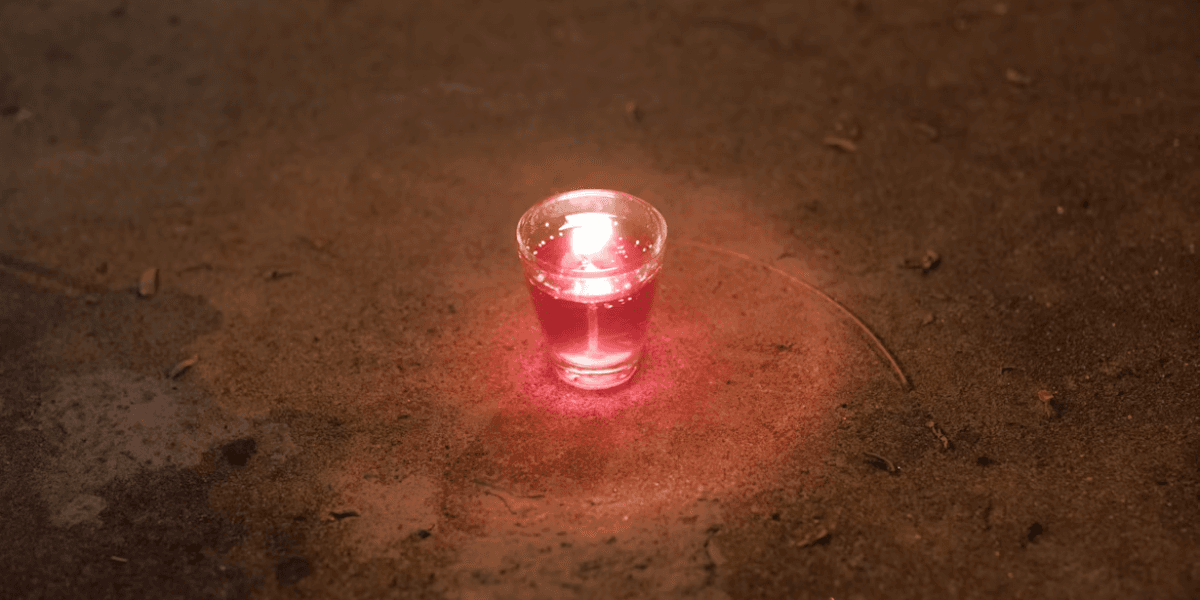 How To Make Margot Robbie’s Favourite Wet Pu**y Shots