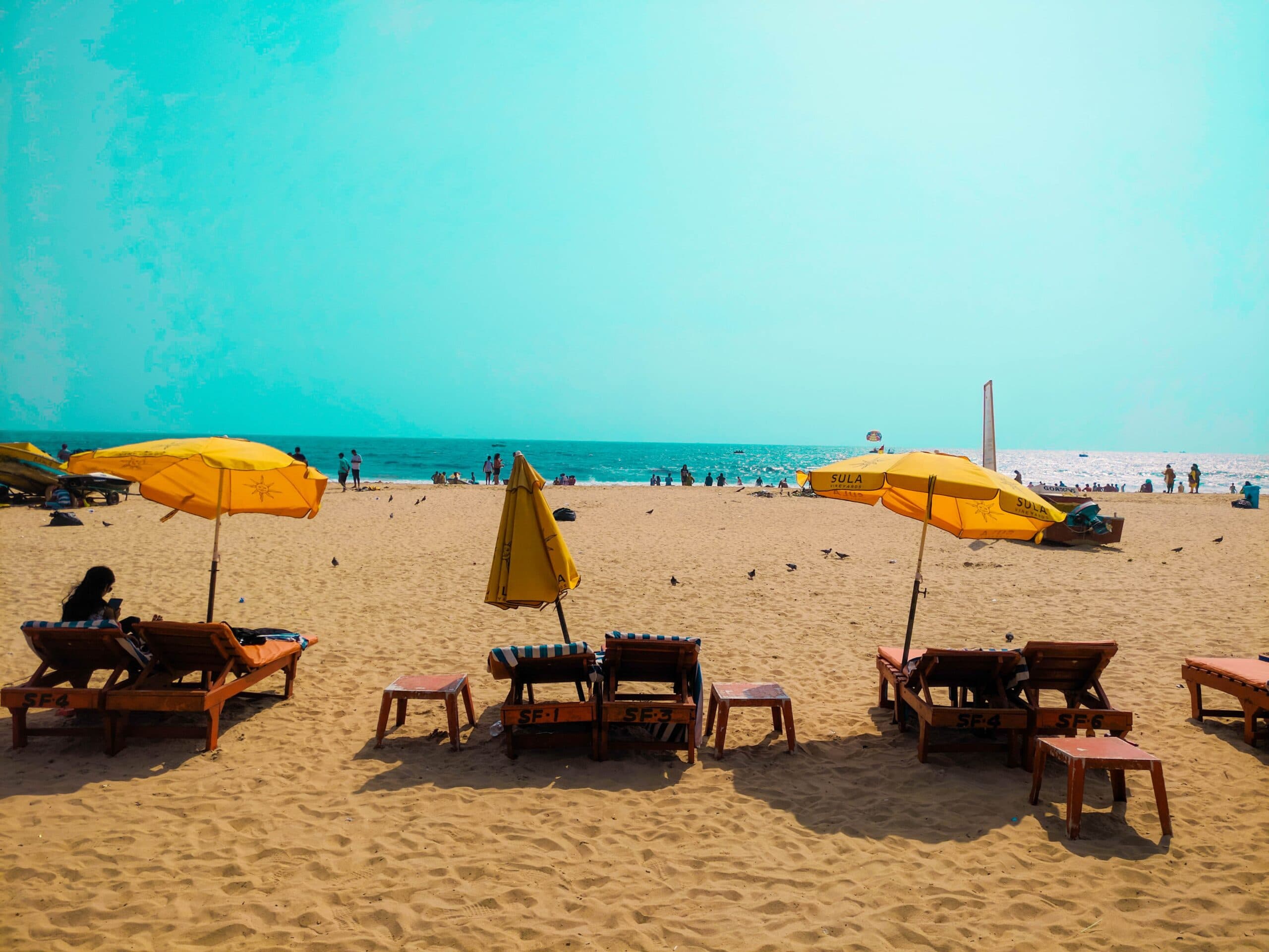 Sip &amp; Savor: A Guide to Best Beach Bars and Pubs of South Goa