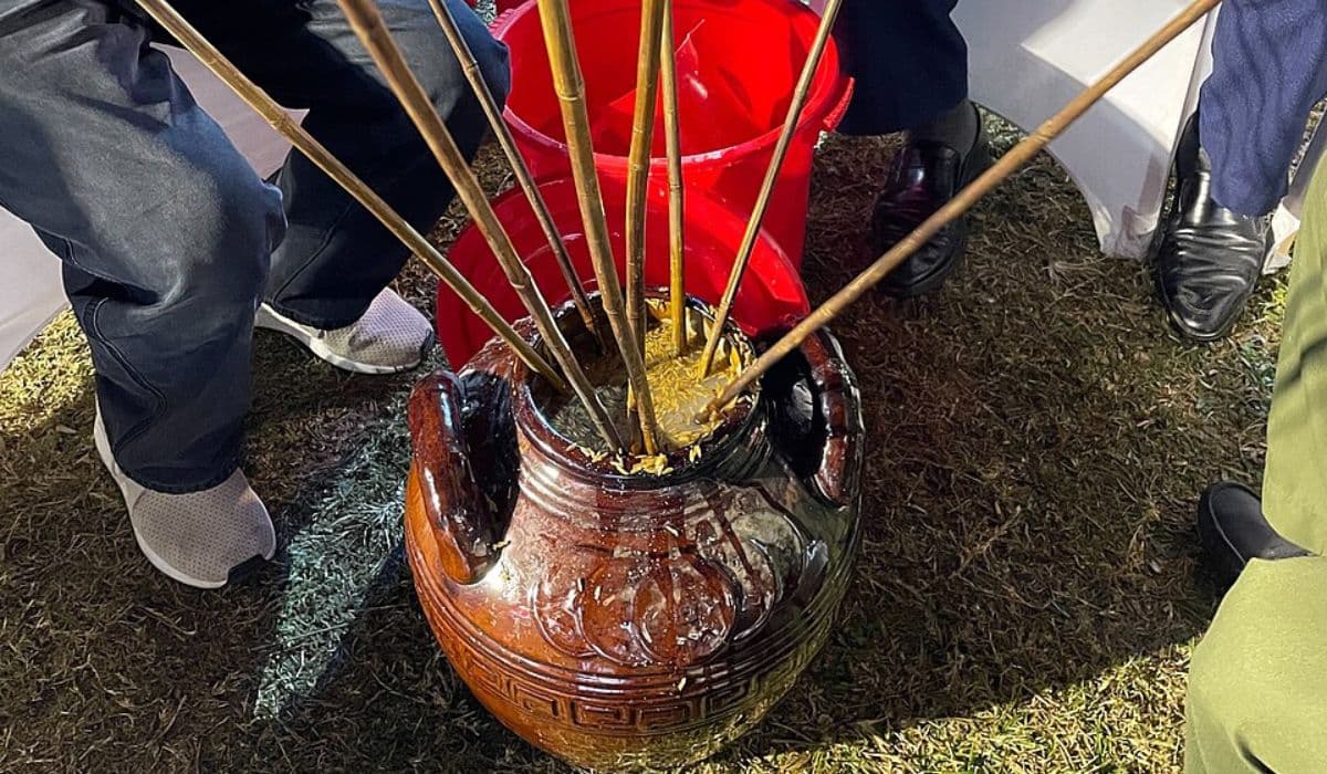 What Is Rượu Cần? The Vietnamese Rice Wine You Drink Through Bamboo Straws