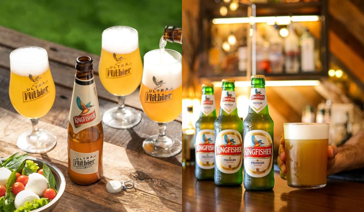Which Kingfisher Beer Is Best For Beginners?