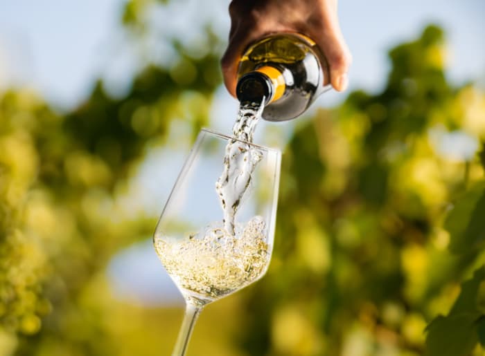 Wine Facts for Beginners
