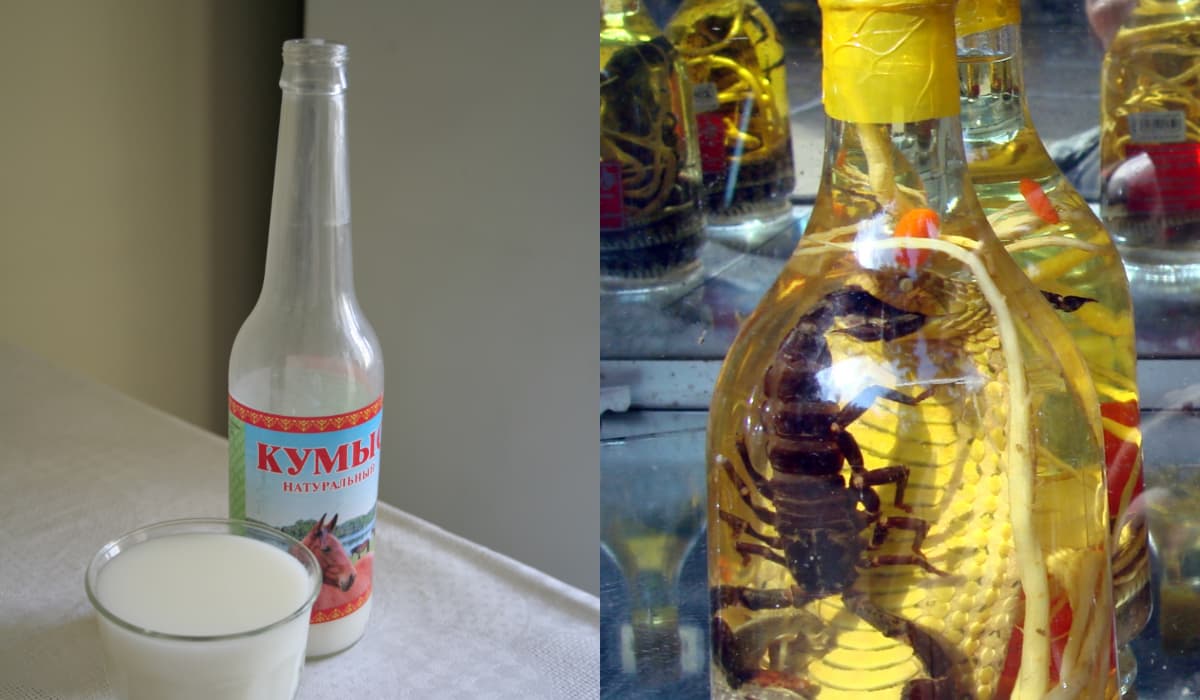 The World’s Strongest, Strangest, And Weirdest Drinks – Snake Wine, Fermented Horse Milk, And More
