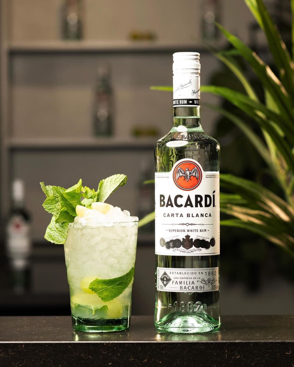 Bacardi Limon vs Bacardi White Rum bottles compared by ingredients, flavor, and alcohol percentage