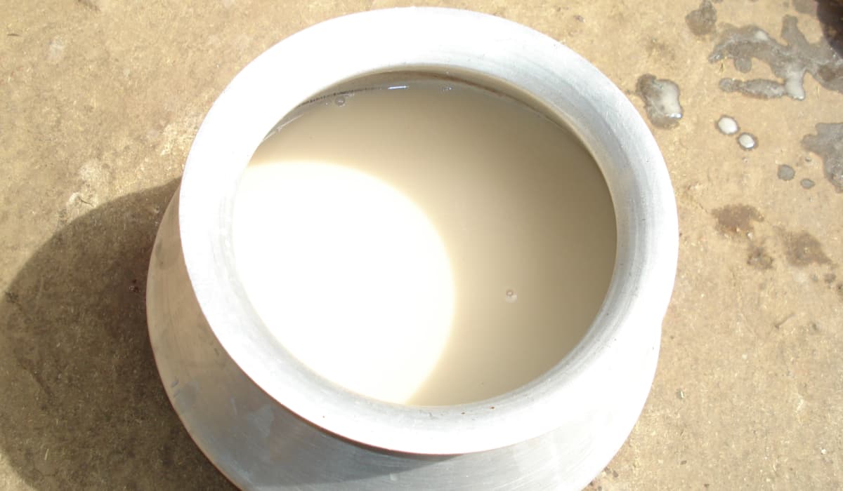 Handia – Jharkhand’s Treasured Alcoholic Beverage