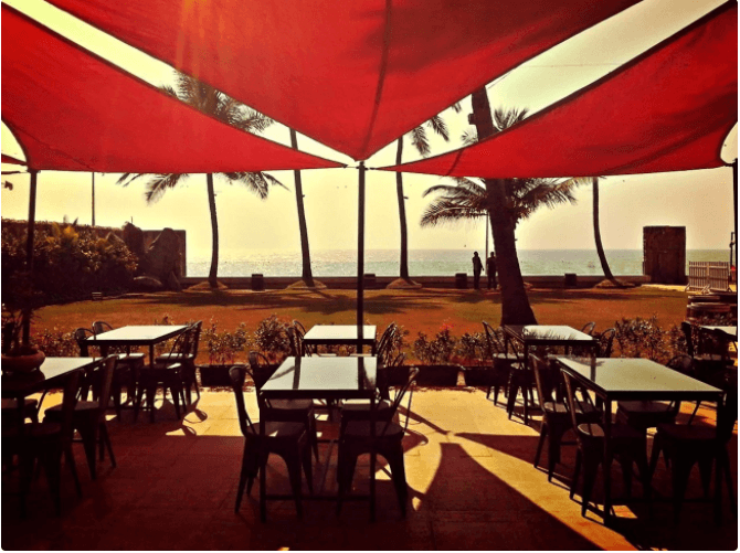 Razzberry Rhinoceros