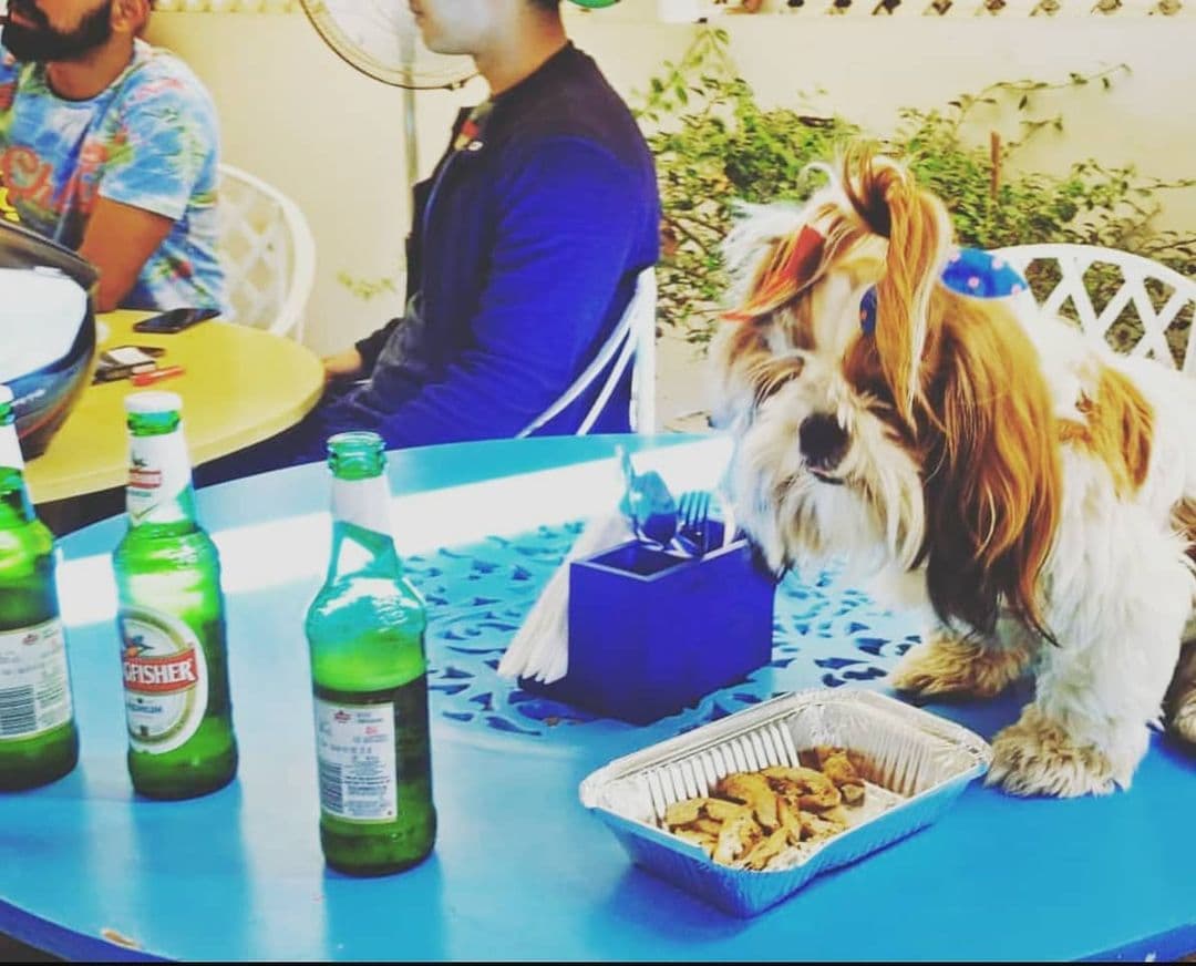 Awesome Pawsome: 5 Pet-Friendly Bars In Mumbai