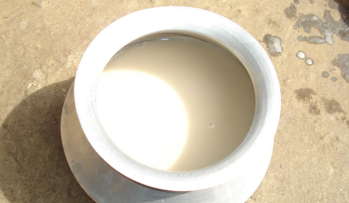 Rasi: The Rice-Based Alcohol Beverage Stronger Than Handia