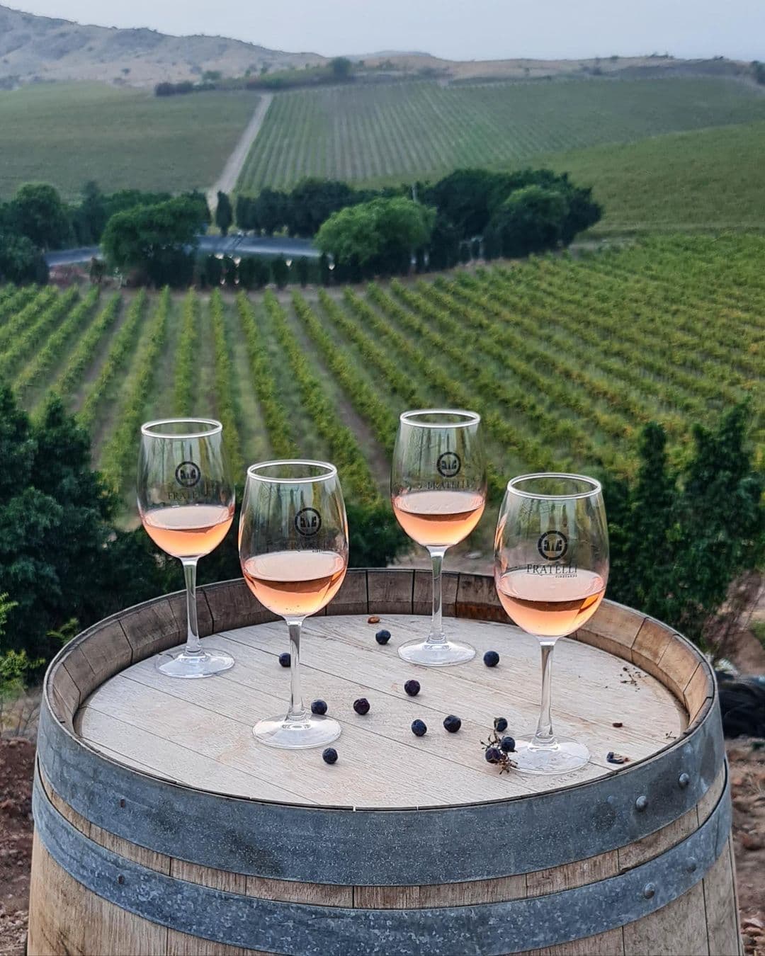 Rosé Wine Types That You Need To Know Of