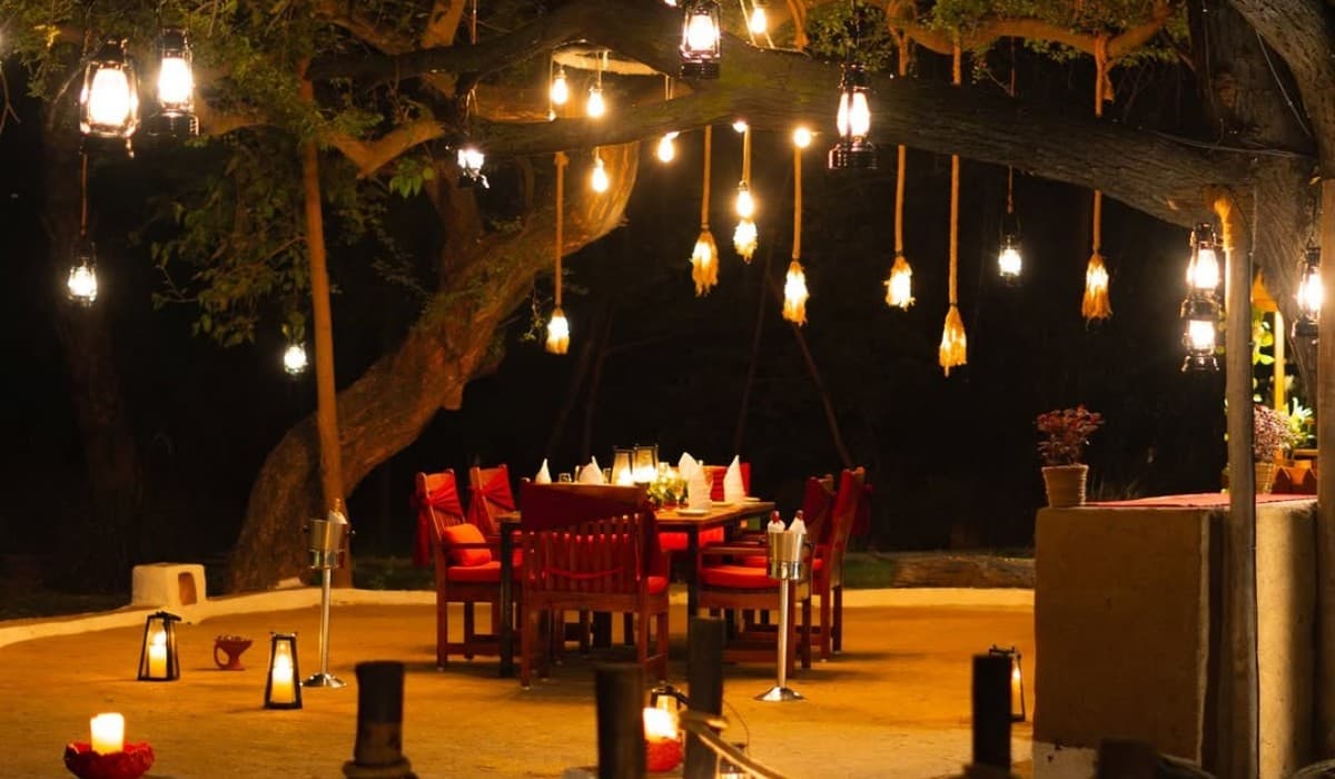 Bar In A Garden: The Jehan Numa Retreat’s Citrus Garden Project