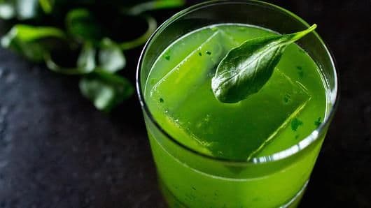 7 Aloe Vera Cocktails To Make At Home