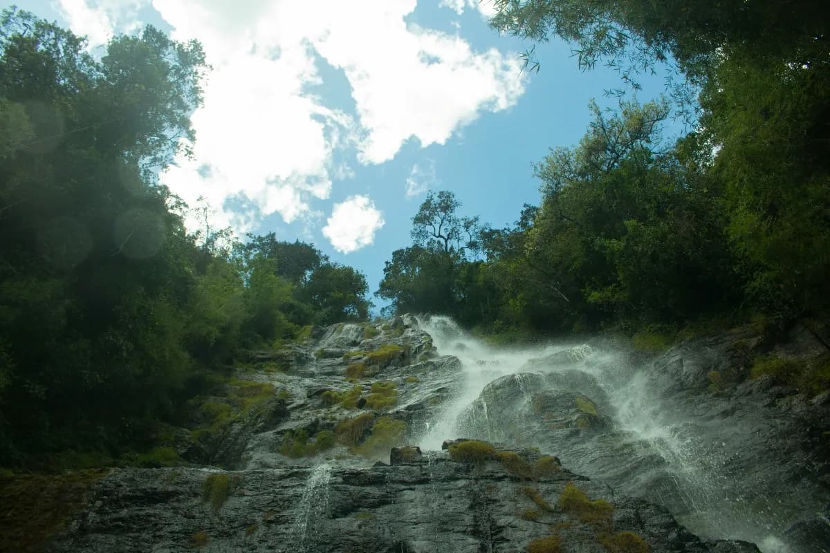 Lapas Waterfall Trashed: Tourists Caught Drinking and Littering