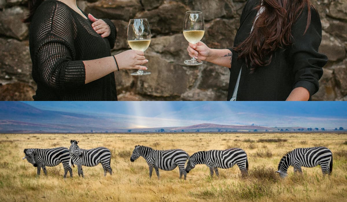 Zebra Striping Is The Newest Alcohol Trend You Need To Know About
